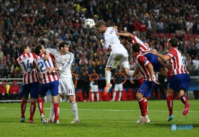 动物油脂精炼设备